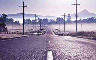 pizza: Its Future and The Revolution Brewing