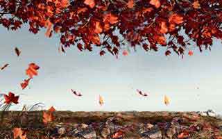 Cryptocurrency's Grand Evolution: Where Bitcoin is Heading and What it Means for Our Future