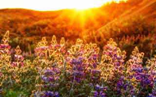 Cryptocurrency's Grand Evolution: Where Bitcoin is Heading and What it Means for Our Future