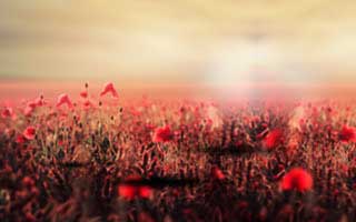 DeFi Token Performance & Investor Trends Post-October Crash: Decoding the Resilience and 2025's Investment Horizon