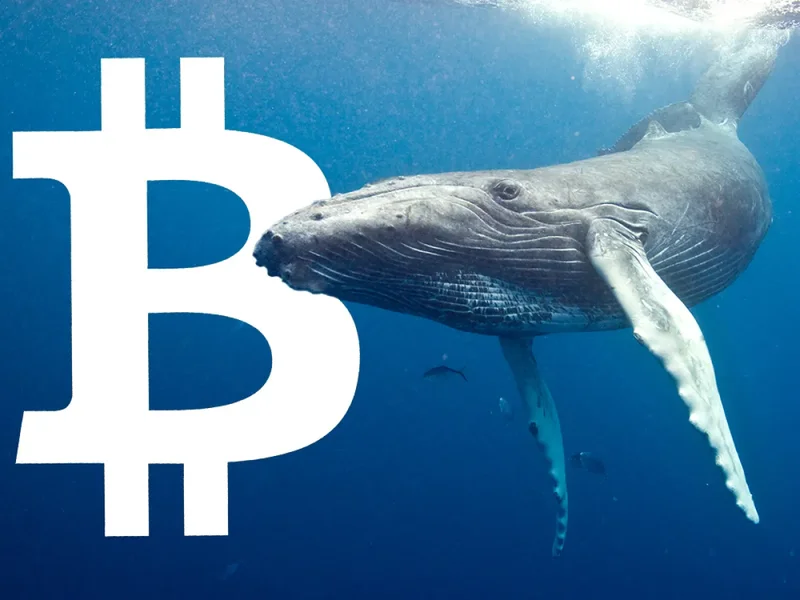 Bitcoin Price: Whales Are Playing You. - Holders Rejoice!