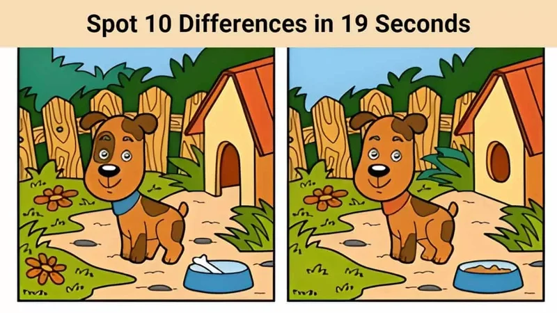 SPOT Stock Surge: What's Driving the Optimism?